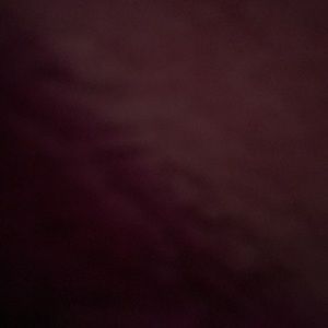 Meet your Posher, Tabitha